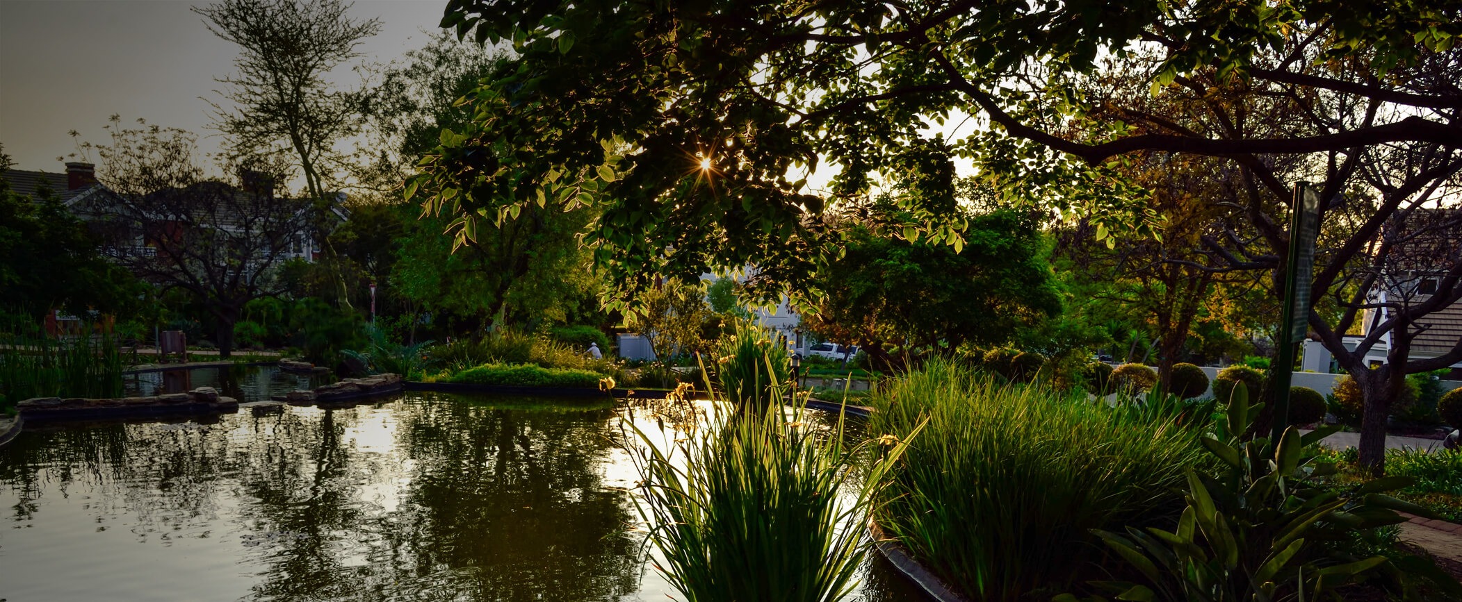 Sunset at the duck pond